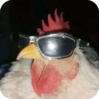 Sticker Чо? @Stikerhi_bot - 7