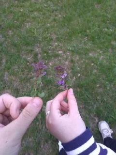 Sticker Кирущка @Stikerhi_bot - 6