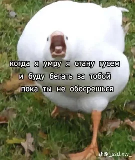 Стикер Кринж @Tgthemesrobot - 5