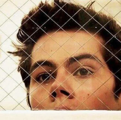 человеческое лицо бровь Человек