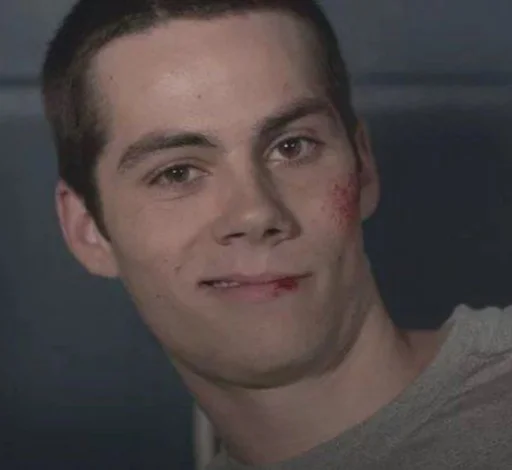 человеческое лицо Человек бровь