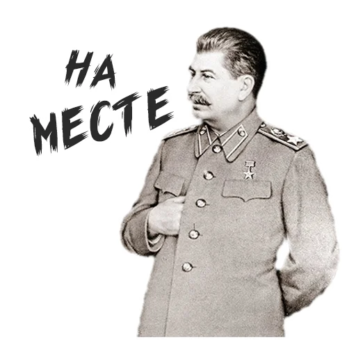 одежда человеческое лицо пальто