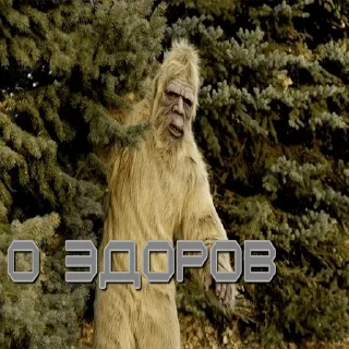 Sticker СТАЛКЕР - 7