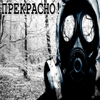 Sticker СТАЛКЕР - 5