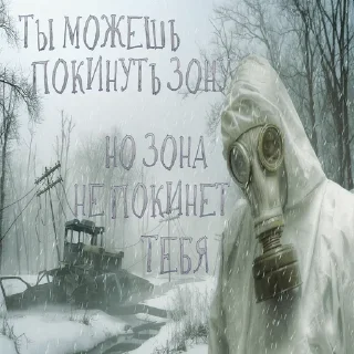 Sticker СТАЛКЕР - 9