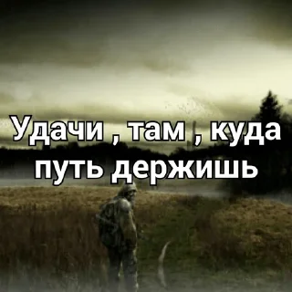 Sticker СТАЛКЕР - 6