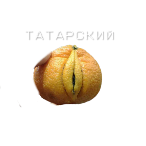 Стикер @stavochnygym - 6