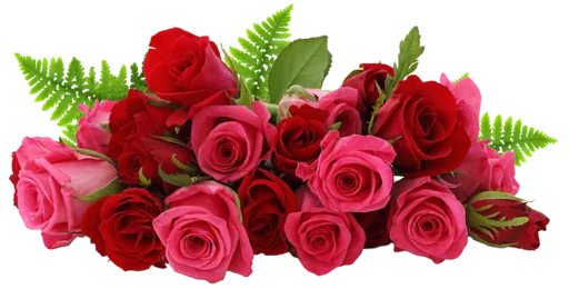 Flowers >> @Stickerabad - 