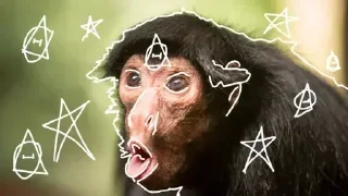 Sticker СТИКЕРЫ ДЛЯ АНТИ КВД @antikvd_forum - 5