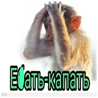 Стикер Ꮆ. Ꮶ. Ꮙ. СТИКИ ОТ КСЮ - 2