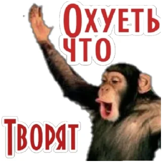 Стикер Ꮆ. Ꮶ. Ꮙ. СТИКИ ОТ КСЮ - 3