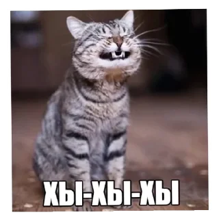 Стикер Ꮆ. Ꮶ. Ꮙ. СТИКИ ОТ КСЮ - 1