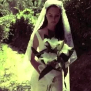 Sticker 🤍🤍🤍 @StickersPackRobot - 0