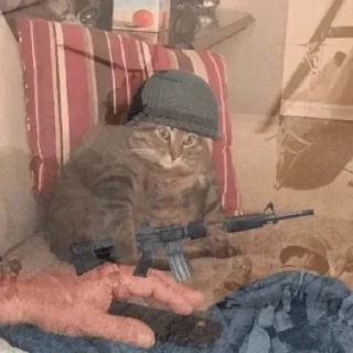 Sticker Cat Memes @StickersPackRobot - 5