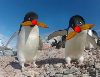 Sticker Усы @StickersPackRobot - 11