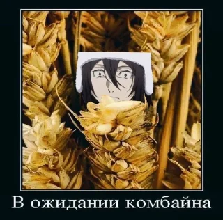 Sticker жёстки набор мем @StickersPackRobot - 11