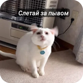 Стикер ParadUrodov - 1