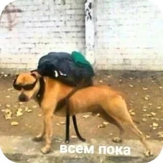 Стикер ParadUrodov - 6