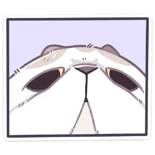 Стикер Котик @StickersPackRobot - 9