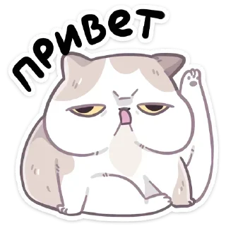 Стикер Котик @StickersPackRobot - 4