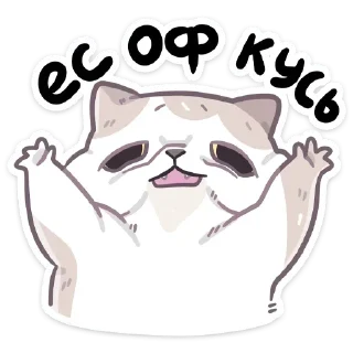 Стикер Котик @StickersPackRobot - 10