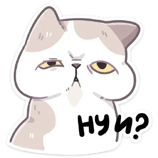 Стикер Котик @StickersPackRobot - 1