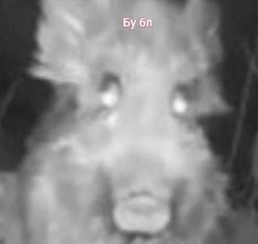 Стикер Стикеры ➜ @StickersPackRobot - 3