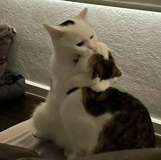 Сергели @StickersPackRobot - 