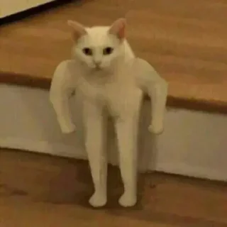 Sticker Сергели @StickersPackRobot - 5