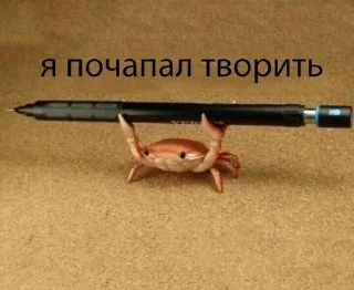 &#x421;&#x442;&#x438;&#x43A;&#x435;&#x440; &#x421;&#x442;&#x438;&#x43A;&#x435;&#x440;&#x44B; &#x279C; @StickersPackRobot - 11