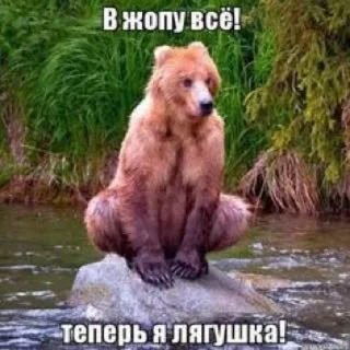 &#x421;&#x442;&#x438;&#x43A;&#x435;&#x440; &#x421;&#x442;&#x438;&#x43A;&#x435;&#x440;&#x44B; &#x279C; @StickersPackRobot - 4