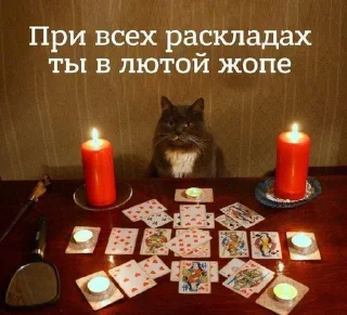 &#x421;&#x442;&#x438;&#x43A;&#x435;&#x440; &#x421;&#x442;&#x438;&#x43A;&#x435;&#x440;&#x44B; &#x279C; @StickersPackRobot - 10