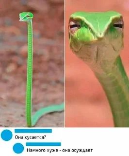 &#x421;&#x442;&#x438;&#x43A;&#x435;&#x440; &#x421;&#x442;&#x438;&#x43A;&#x435;&#x440;&#x44B; &#x279C; @StickersPackRobot - 1