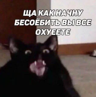 &#x421;&#x442;&#x438;&#x43A;&#x435;&#x440; &#x421;&#x442;&#x438;&#x43A;&#x435;&#x440;&#x44B; &#x279C; @StickersPackRobot - 0