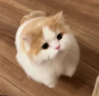 Sticker Стикеры ➜ @StickersPackRobot - 9