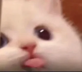 Sticker Стикеры ➜ @StickersPackRobot - 5