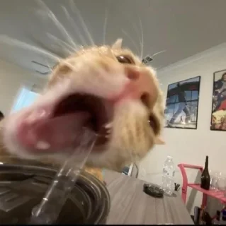 Sticker Стикеры ➜ @StickersPackRobot - 11