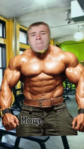 Шайлушай @StickersPackRobot - 