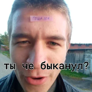 Sticker Шайлушай @StickersPackRobot - 2