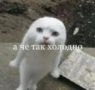 Стикер мои 1 @StickersPackRobot - 4