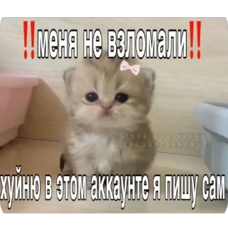 Sticker Китики KB_Wing @StickersPackRobot - 6