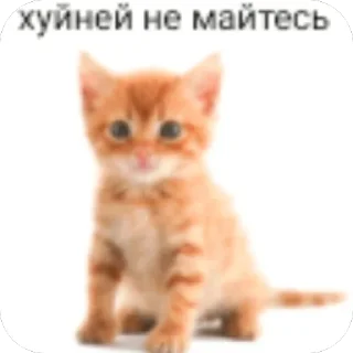 Sticker Китики KB_Wing @StickersPackRobot - 1