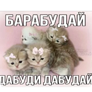 Sticker Китики KB_Wing @StickersPackRobot - 10