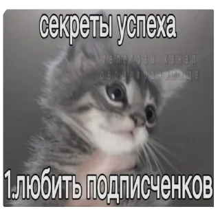 Sticker Китики KB_Wing @StickersPackRobot - 9