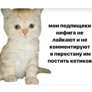 Sticker Китики KB_Wing @StickersPackRobot - 4