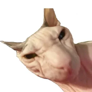 Стикер Штаб парламент @StickersPackRobot - 1