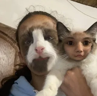 Стикер Мох🤡 @StickersPackRobot - 3