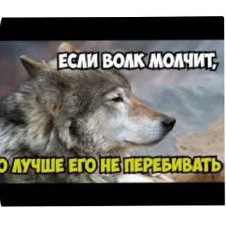 Стикер 🍓Wolf_Stickers🍓 @StickersPackRobot - 3