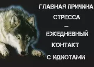 Стикер 🍓Wolf_Stickers🍓 @StickersPackRobot - 7