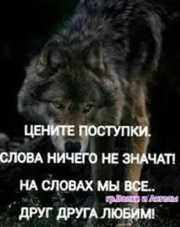 Стикер 🍓Wolf_Stickers🍓 @StickersPackRobot - 5